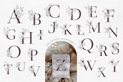 Delicate Wedding Design., a Decorative Illustration by Designwork (Thumbnail 8 of 16)