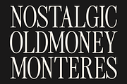 Tirone - Display Serif Font, a Font by Viswell (Thumbnail 7 of 10)