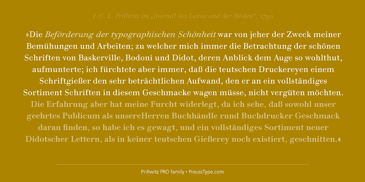 Prillwitz PRO, a Serif Font by preussTYPE (Photo 2 of 9)