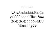 Spinmaster Modern Display Serif Font, a Serif Font by UICreative (Thumbnail 10 of 13)