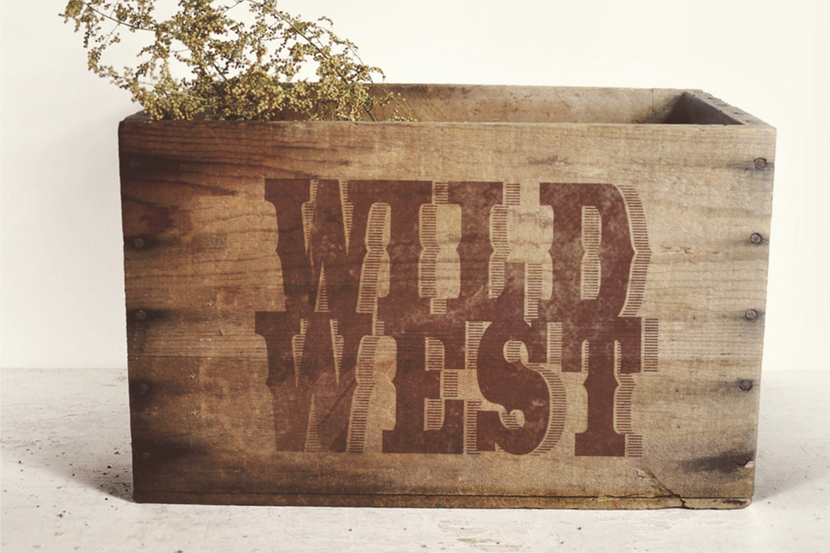 Wide Saloon - Display Font, a Serif Font by Vintage Font Lab (Photo 9 of 9)