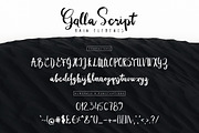 Wonderland Fonts Pack & Branding Kit, a Script Font by Graphicdome (Thumbnail 92 of 118)