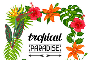 Tropical Paradise Frames.