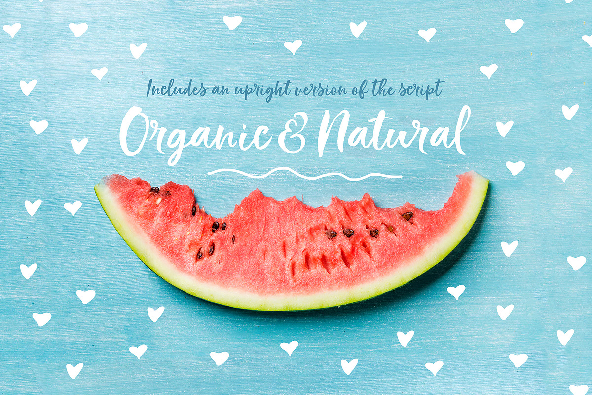 Indigo Summer Font Trio, a Script Font by Nicky Laatz (Photo 21 of 21)