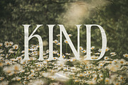 HANNAH & CLAY | handwritten serif, a Serif Font by Loryn Ipsum (Thumbnail 4 of 12)