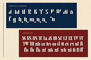 Dartelle - Modern Serif Font Duo, a Serif Font by PaperMoon (Thumbnail 10 of 10)