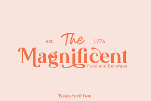 Basics Serif Font - 30% OFF