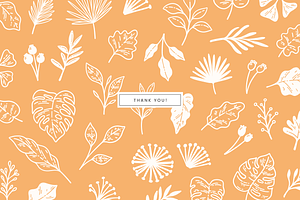 Fall Leaves Vector Illustrations