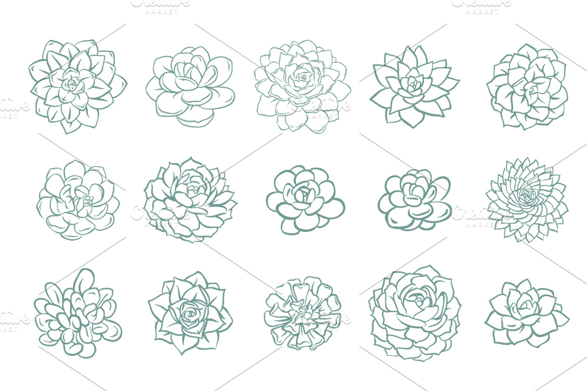 63 Succulents illustration set, a Decorative Illustration by Artha Design Studio (Photo 4 of 4)