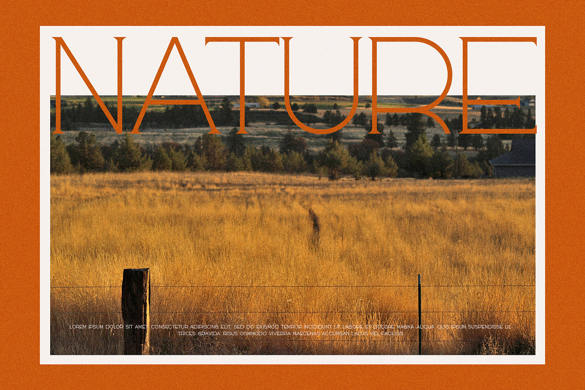 Rosta Modern Serif Font, a Serif Font by Perfectype (Photo 8 of 10)
