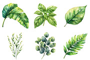 Green Summer Foliage Clipart, an Illustration by Watercolor design (Thumbnail 4 of 10)