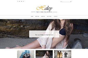 Haleytheme - Simple Blog Wordpress