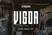 Vigor, a Sans Serif Font by Lemockup (Thumbnail 1 of 11)