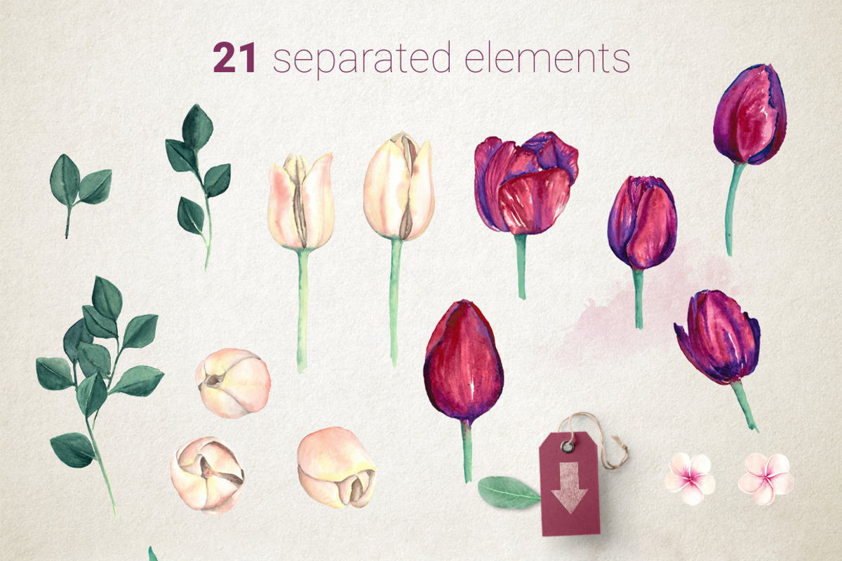 Burgundy and Cream Watercolor Tulips, an Illustration by WBS Design (Photo 6 of 6)