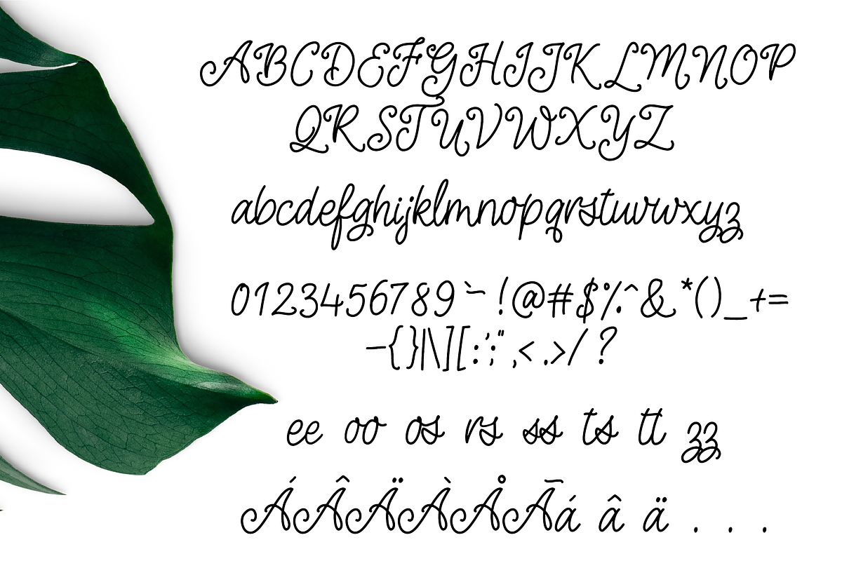 Oh Azalea Script Font preview 6