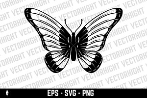 Butterfly Illustration SVG