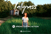 Tallgrass Photoshop Action, an Action Add-On by Presetrain Co. (Thumbnail 1 of 5)