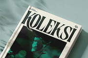 Dreince - Classic Condensed Serif, a Serif Font by Bentype Studio (Thumbnail 2 of 7)