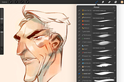 ✨MAGIC Procreate Set: 55+ Brushes, a Brush Add-On by Georg's Procreate Brushes (Thumbnail 3 of 10)