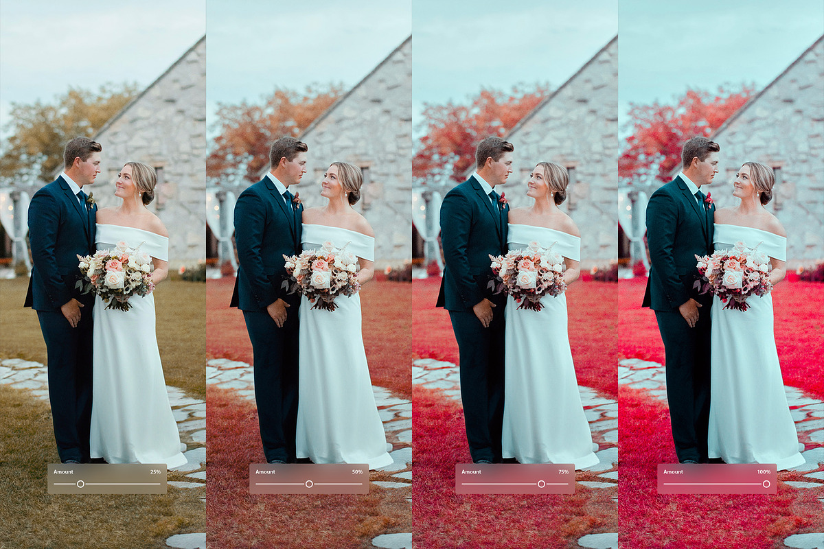 Infrared I, a Preset Add-On by colorituals (Photo 2 of 8)