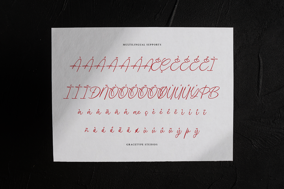 Boudica Perfect | Handwritten Script, a Script Font by gracetype_studio (Photo 11 of 12)
