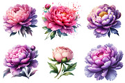 Pink & Purple Peony Flowers Clipart, an Illustration by Watercolor design (Thumbnail 2 of 4)
