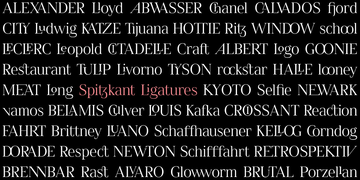 Spitzkant, a Serif Font by Julien Fincker (Photo 2 of 10)