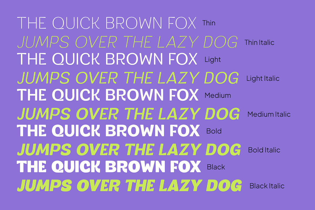 Fangled, a Sans Serif Font by Ditatype (Photo 10 of 15)