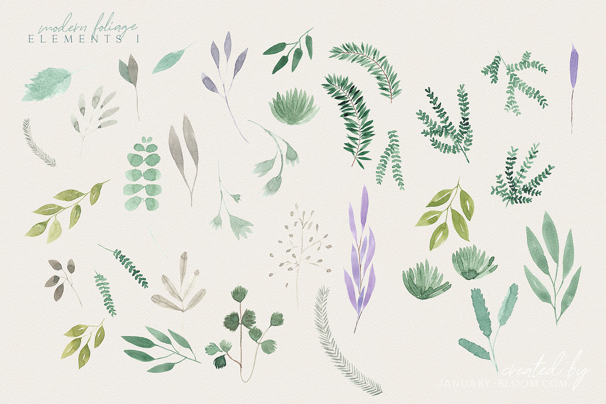 Handmade Foliage watercolour herbs, an Illustration by January Bloom (Photo 8 of 13)