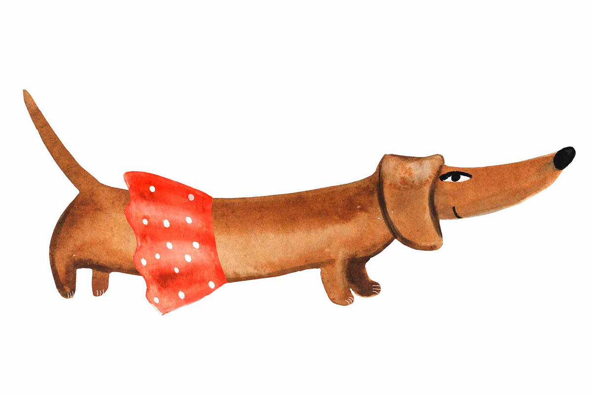 Watercolor cats dogs hand drawn set, an Object Illustration by NataLyaroArt (Photo 6 of 9)