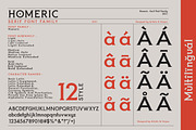 Homeric - Serif font Family, a Serif Font by Artistic & Unique (Thumbnail 3 of 13)