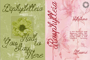 Blossom Reverie - Floral Script, a Script Font by Setara Langit CreativeStd (Thumbnail 5 of 13)