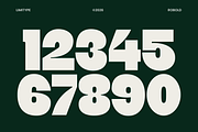 Robold - Bold Display Font, a Sans Serif Font by limitype (Thumbnail 10 of 12)