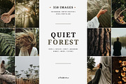Forest Stock Photos | Moody Woodland, a Nature Photo by Tale.Haus (Thumbnail 1 of 20)