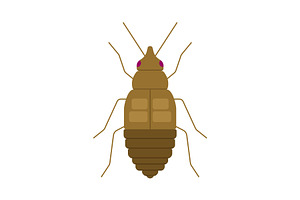Brown Bed Bug Insect, a Solid Icon by Buqancreative