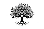 Decorative Tree of Life Vector Set, an Illustration by Creativeshirt (Thumbnail 13 of 13)