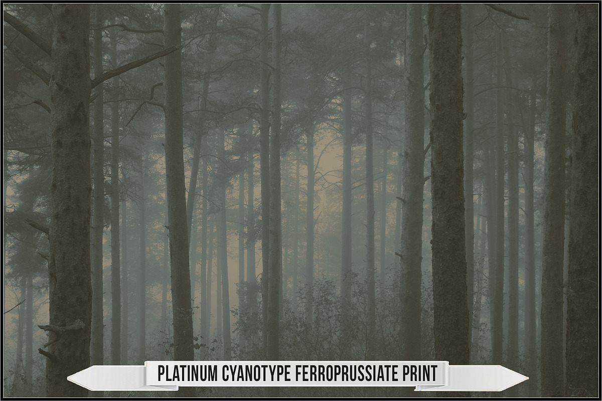 Authentic Cyanotype LUTs, a Plug-in Add-On by Raztrend (Photo 27 of 32)
