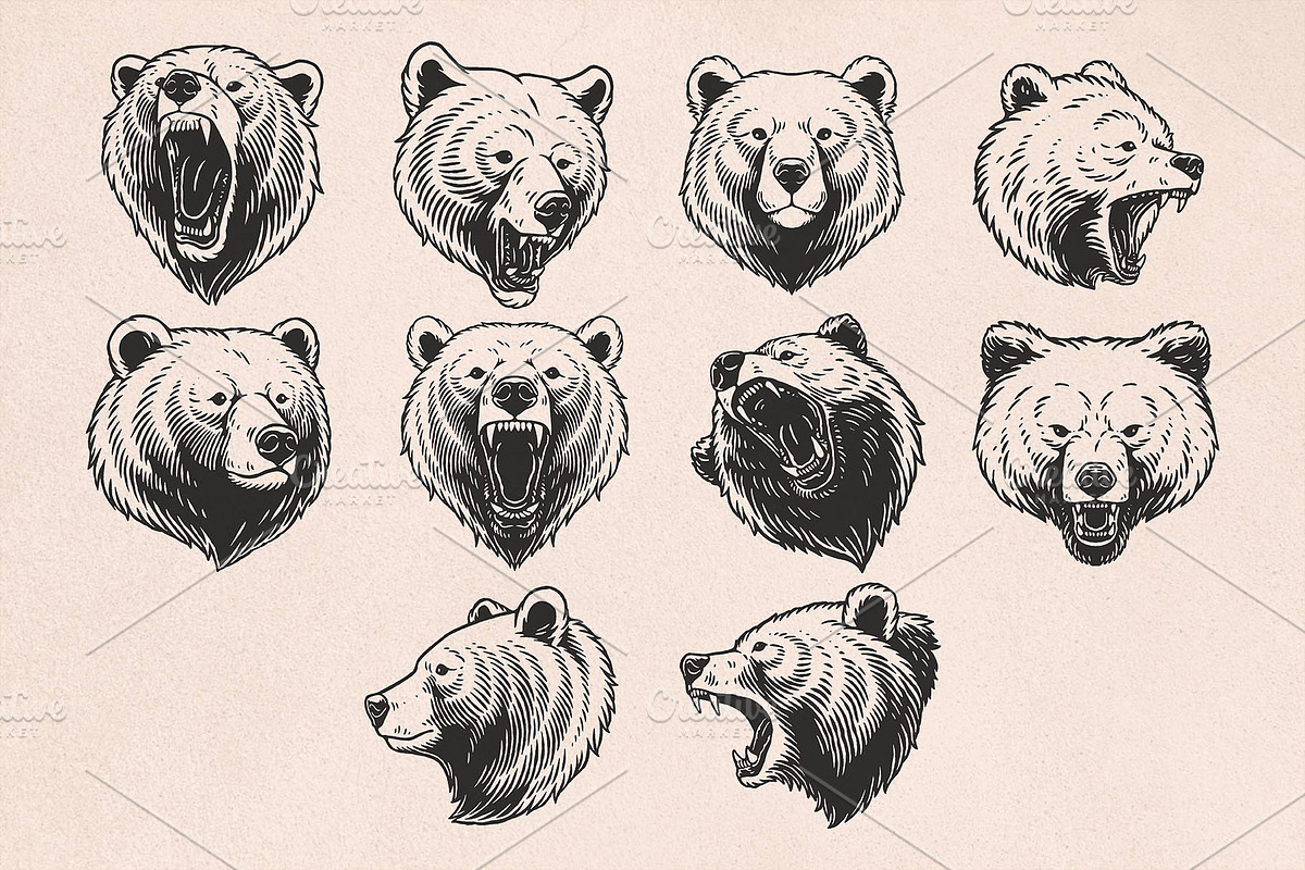Bear Illustrations Hand-Drawn Vector, an Animal Illustration by Trape Graphic Studio (Photo 6 of 10)