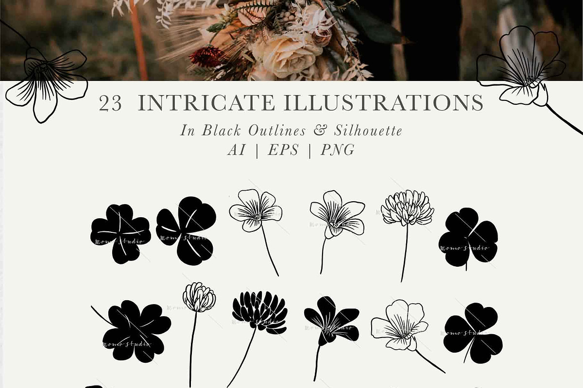 Clover Botanicals - Florals & Leaves, an Illustration by Momo Studio (Photo 11 of 12)