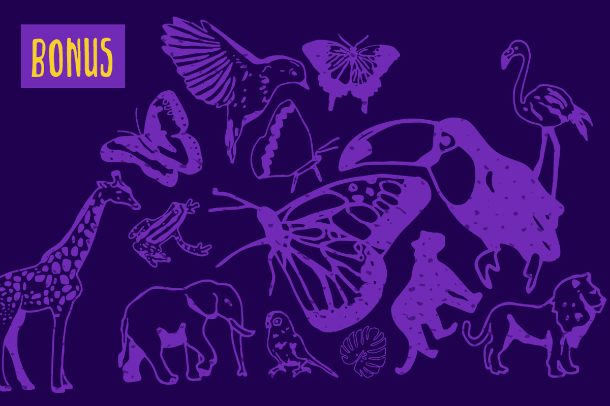 Jungle - Decorative Sans Serif preview 6