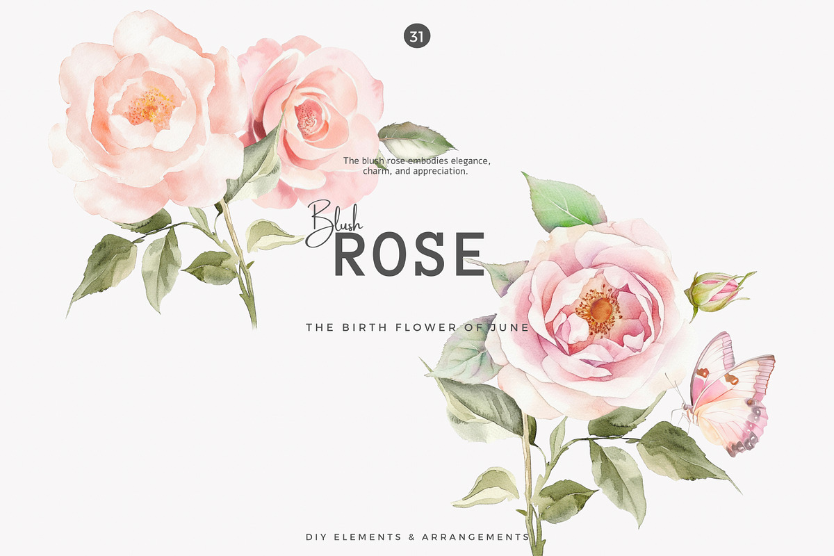 Watercolor June Flower Clipart Set, a Decorative Illustration by Patishop Art (Photo 6 of 10)