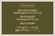 Hawthorne Vintage Serif, a Serif Font by Get Studio (Thumbnail 2 of 9)