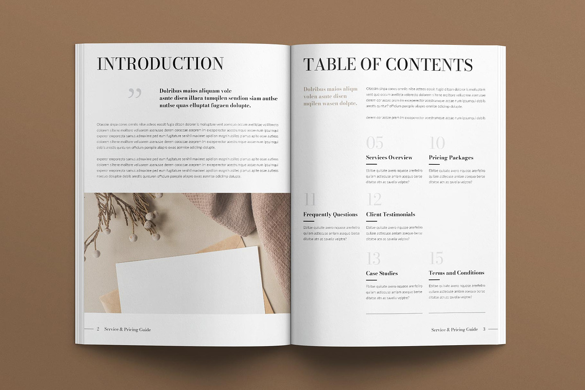 Service & Pricing Guide Template, a Magazine Template by E-Type (Photo 3 of 7)
