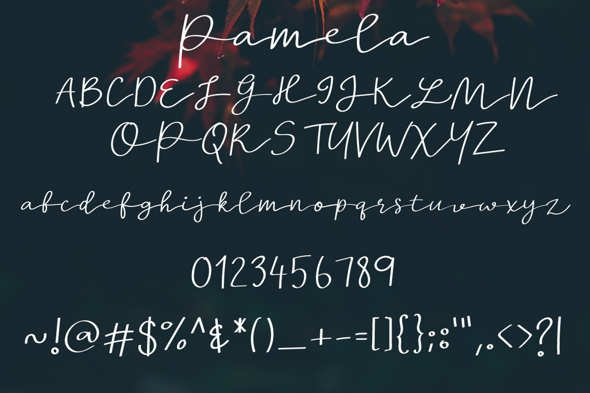 New! Pamela | Script Font preview 6
