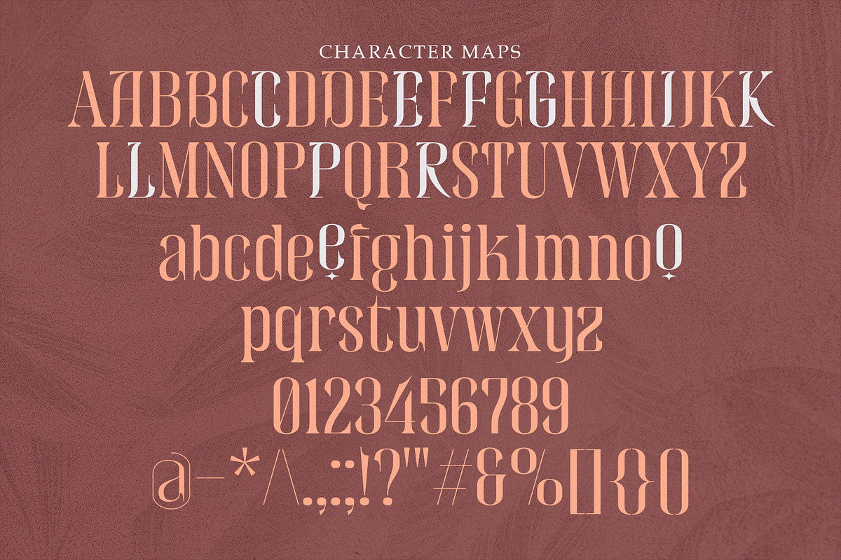 Beckos - Unique Serif Display, a Serif Font by Mokatype Studio (Photo 9 of 10)