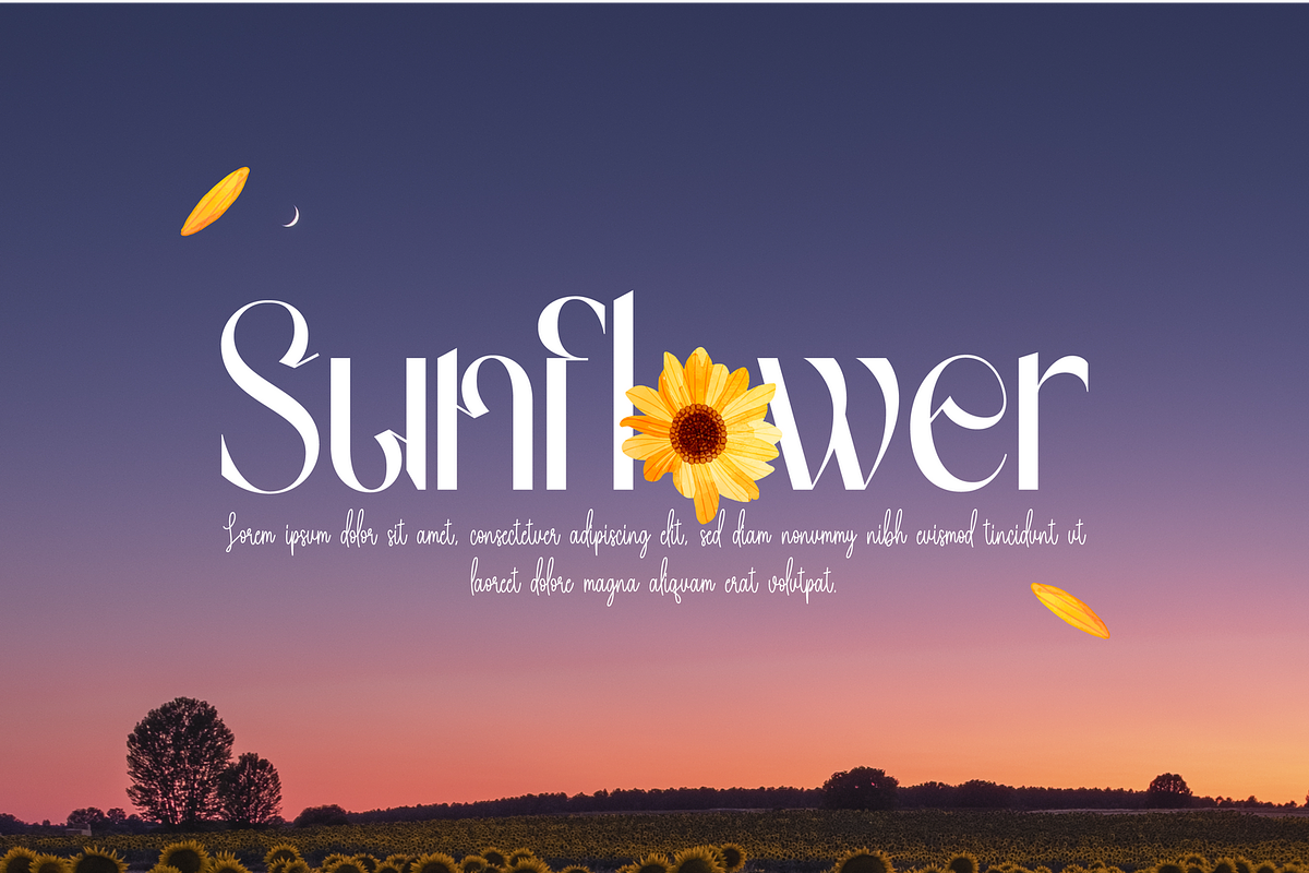 Gradually Reduced Font, a Serif Font by 177Studio (Photo 2 of 7)