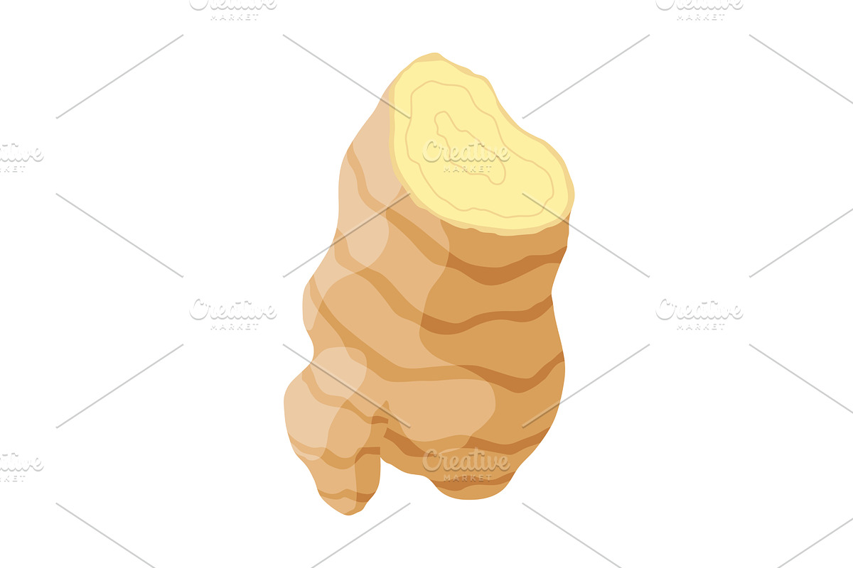 Ginger root. Aromatic herbal spice, a Food Illustration by the8monkey