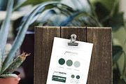 Brand Board Templates | Canva, a Presentation Template by Thirty One Palms Studio (Thumbnail 5 of 7)