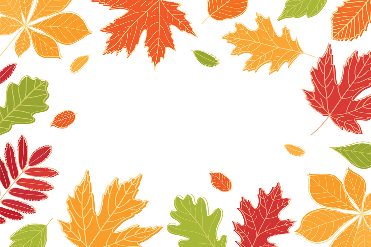Hand drawn autumn leaves., an Education Illustration by Tkoko vectors & patterns (Photo 3 of 12)