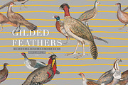 Gilded Feathers Vintage Prints 2026, a Pattern Graphic by LEAFure (Thumbnail 1 of 10)